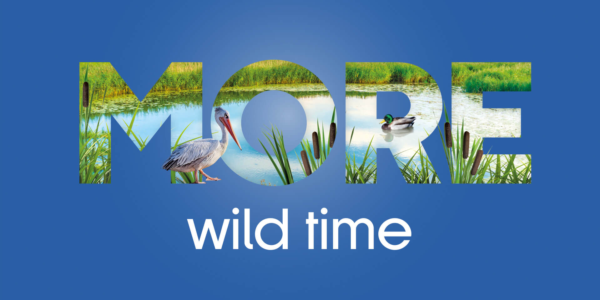 MORE campaign for Boundless